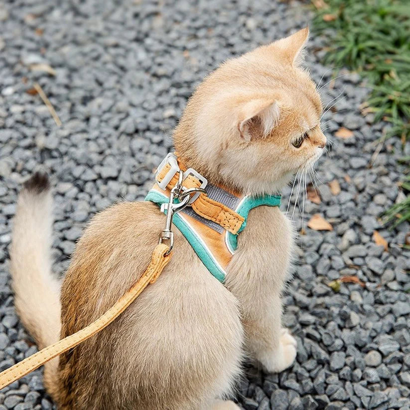 No Pain- Cat Harness & Leash Set (Extra Padded)