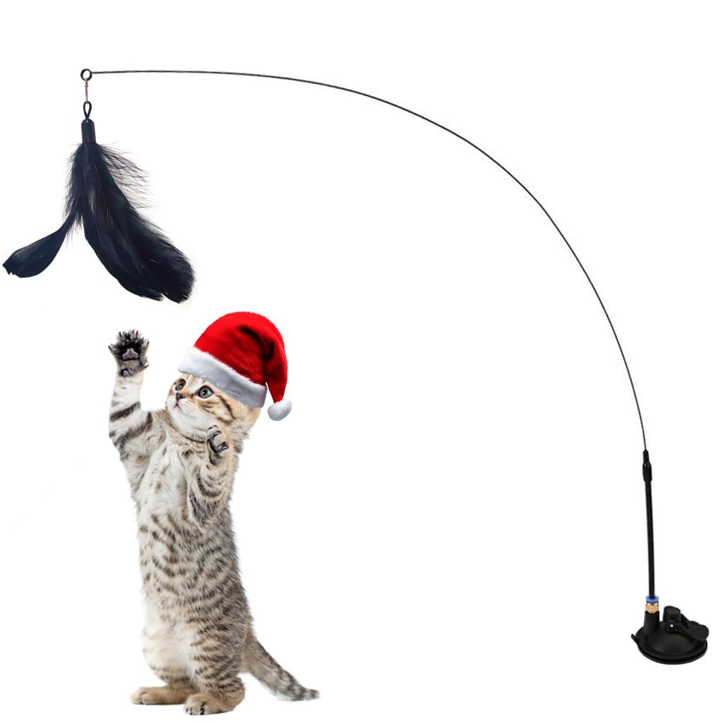 Interactive Bird Simulation Cat Toy