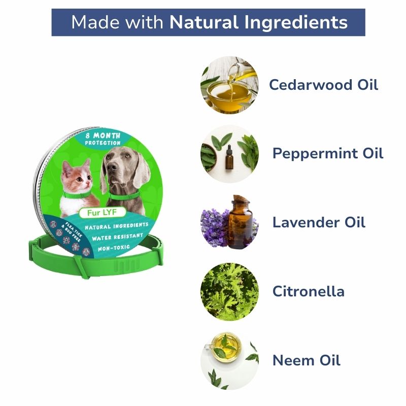 Complete Tick & Flea Protection