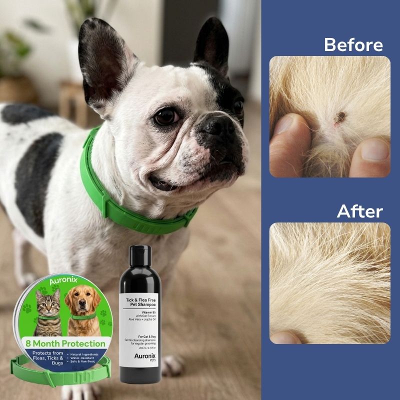 Complete Tick & Flea Protection