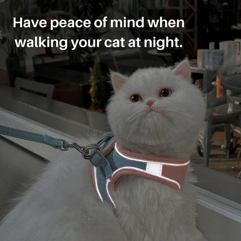 No Pain- Cat Harness & Leash Set (Extra Padded)