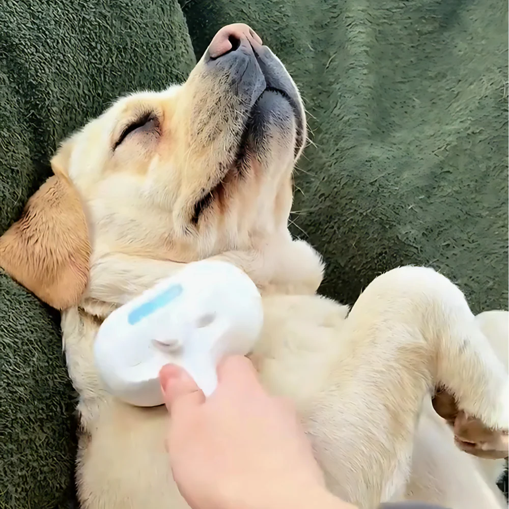 Pet Spa Brush - Waterless Bath Solution