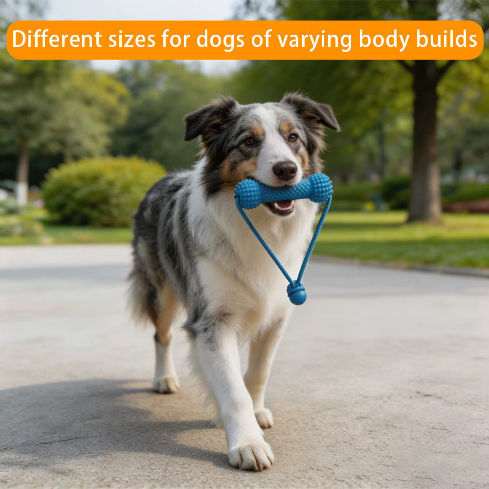 PawSmile Dog Dental Chew Toy