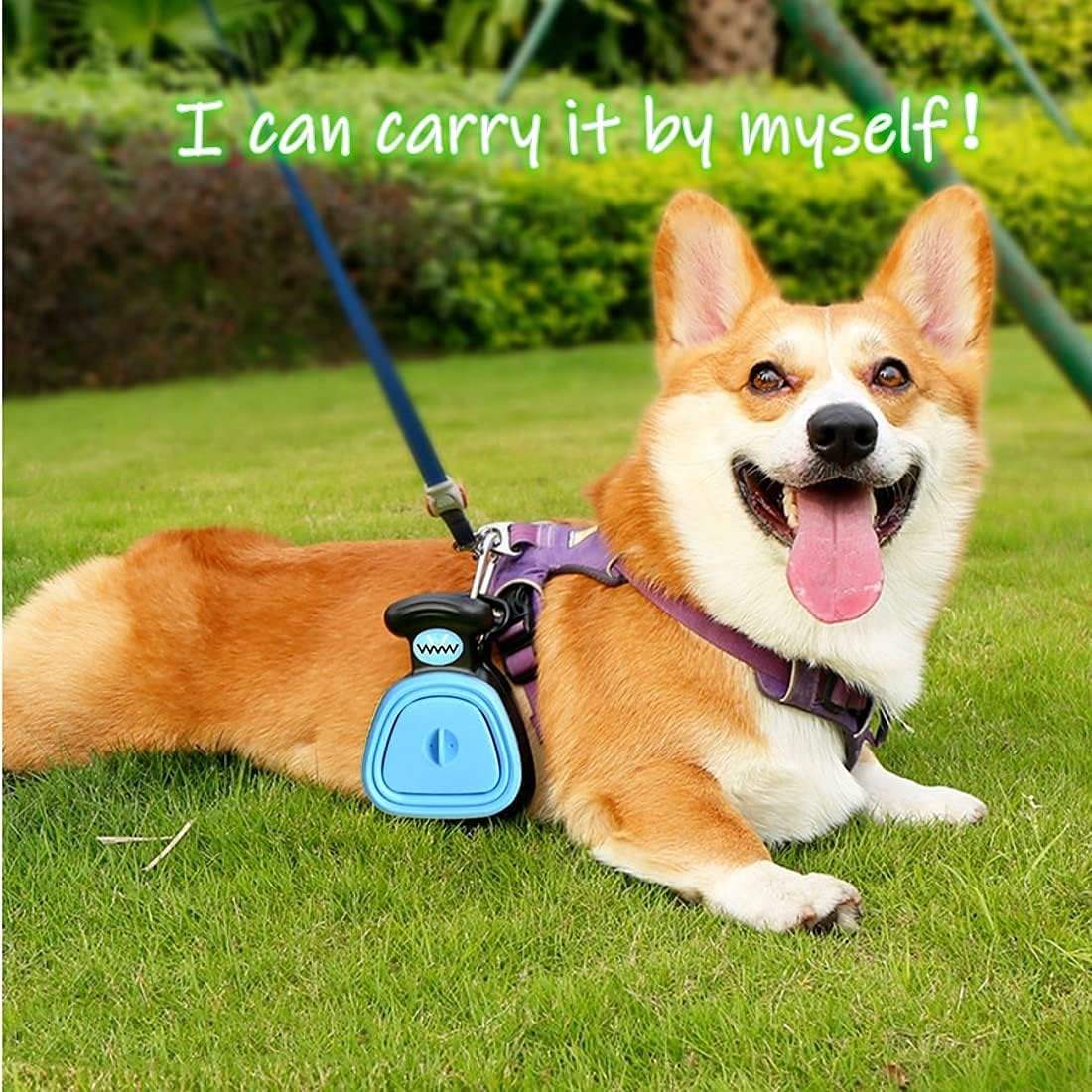 Poop-Scooper