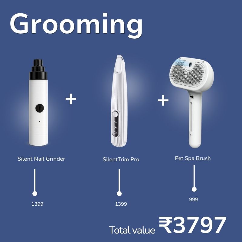 Ultimate All-in-One Cat Care & Fun Combo