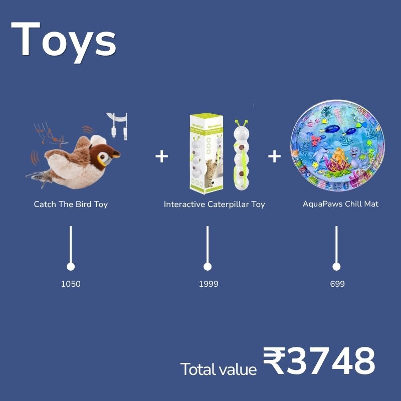 Ultimate All-in-One Cat Care & Fun Combo