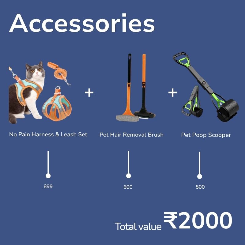 Ultimate All-in-One Cat Care & Fun Combo