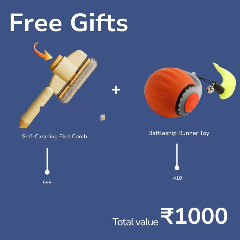 Ultimate All-in-One Cat Care & Fun Combo