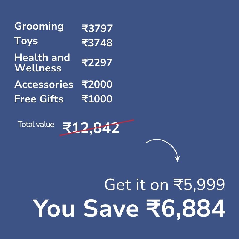 Ultimate All-in-One Cat Care & Fun Combo