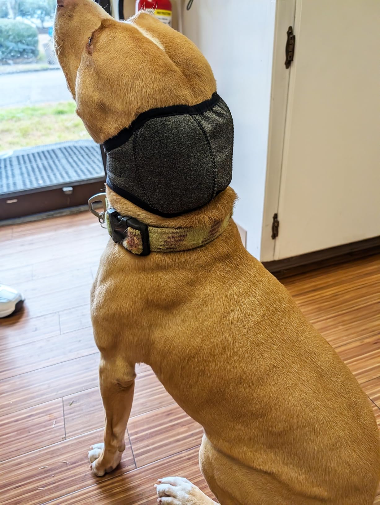 Premium Noise-Calming Ear Wrap for Dogs