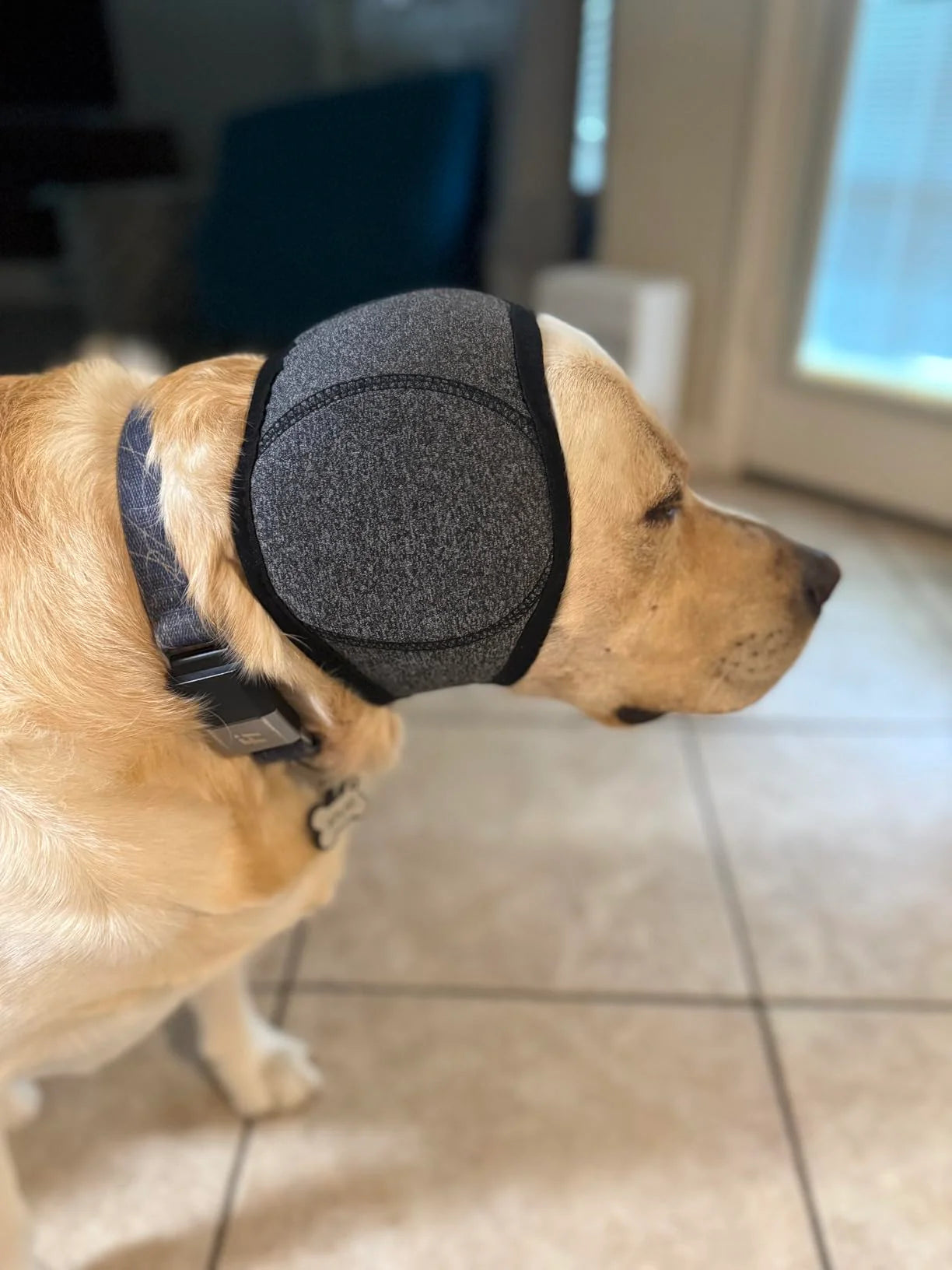 Premium Noise-Calming Ear Wrap for Dogs