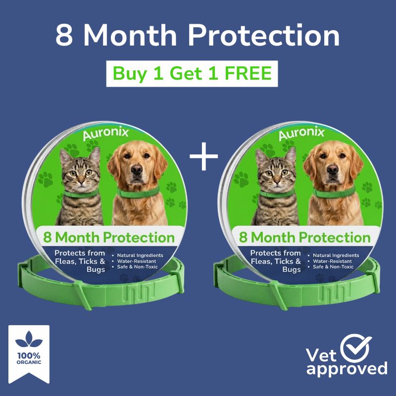 Flea and Tick Free Collar (Buy 1 Get 1 Free)