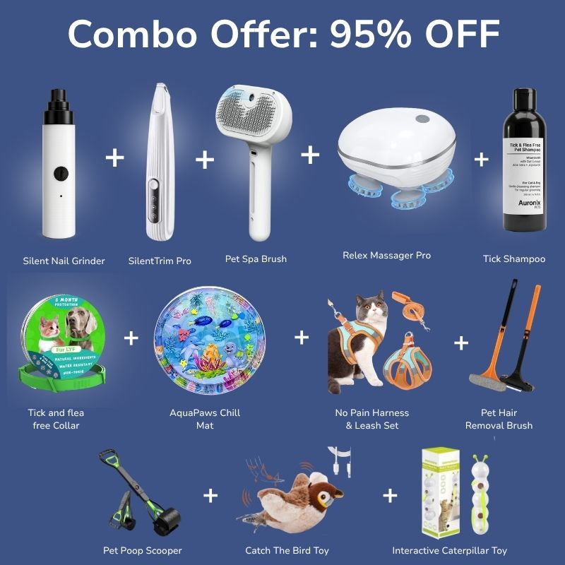 Ultimate All-in-One Cat Care & Fun Combo