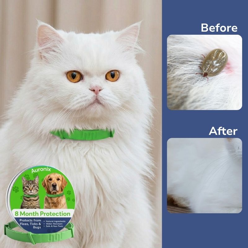 Flea and Tick Free Collar