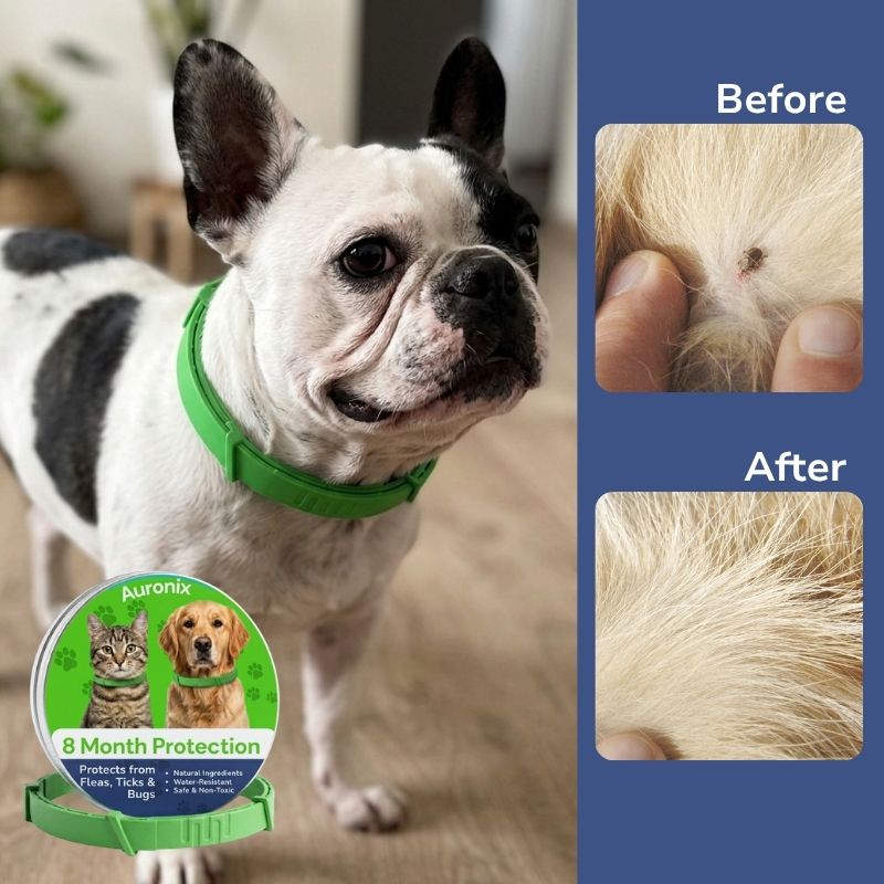 Flea and Tick Free Collar (Buy 1 Get 1 Free)
