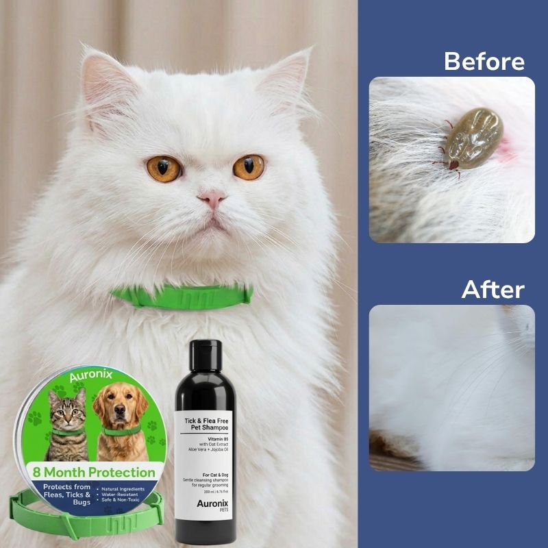 Complete Tick & Flea Protection