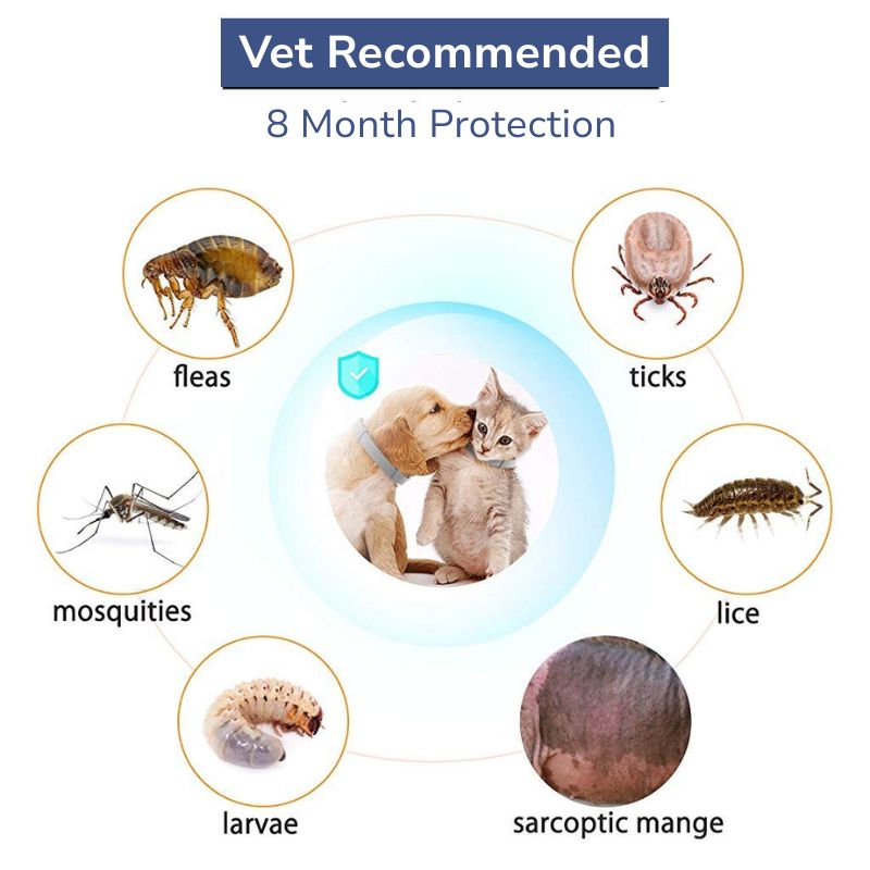 Flea and Tick Free Collar (Buy 1 Get 1 Free)