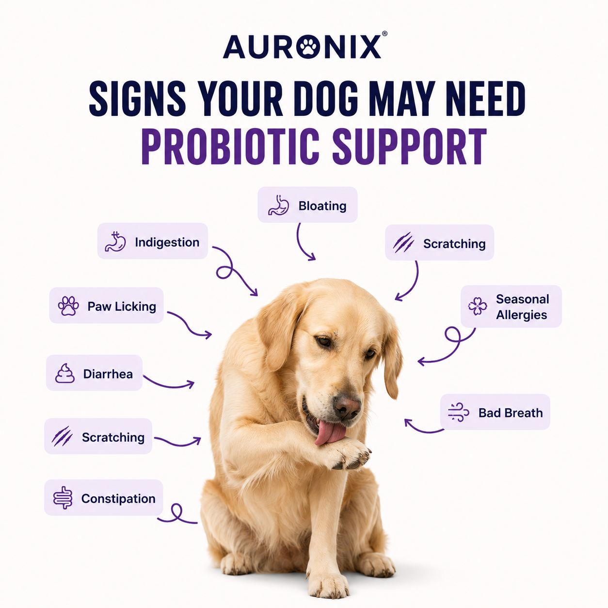 Auronix Probiotics & Gut Health For Dogs