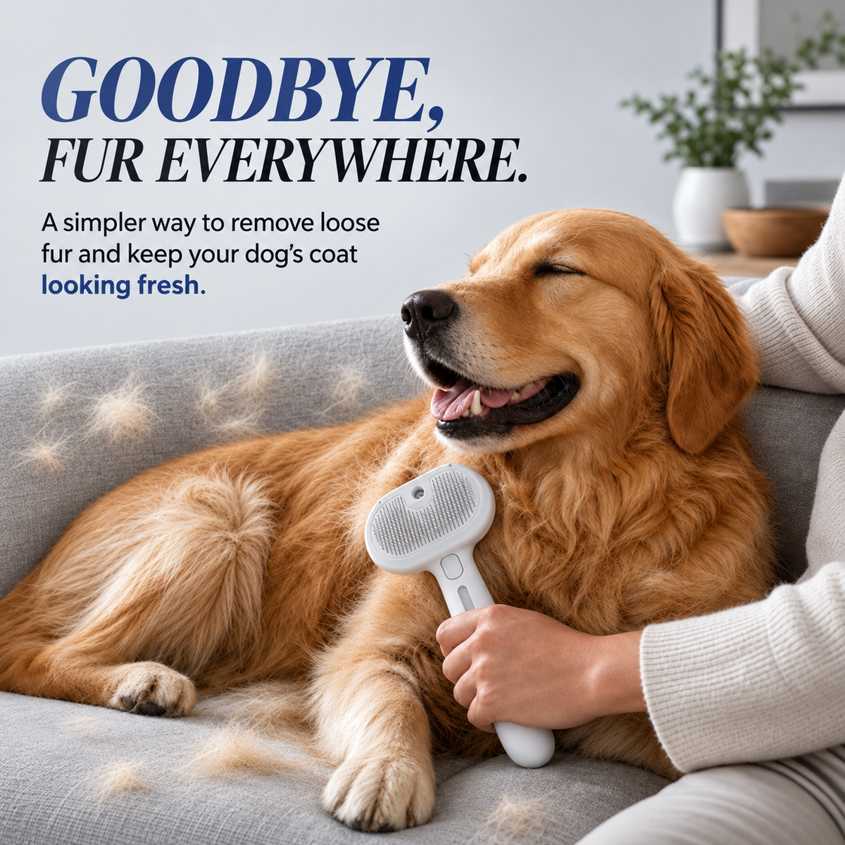 Pet Spa Brush
