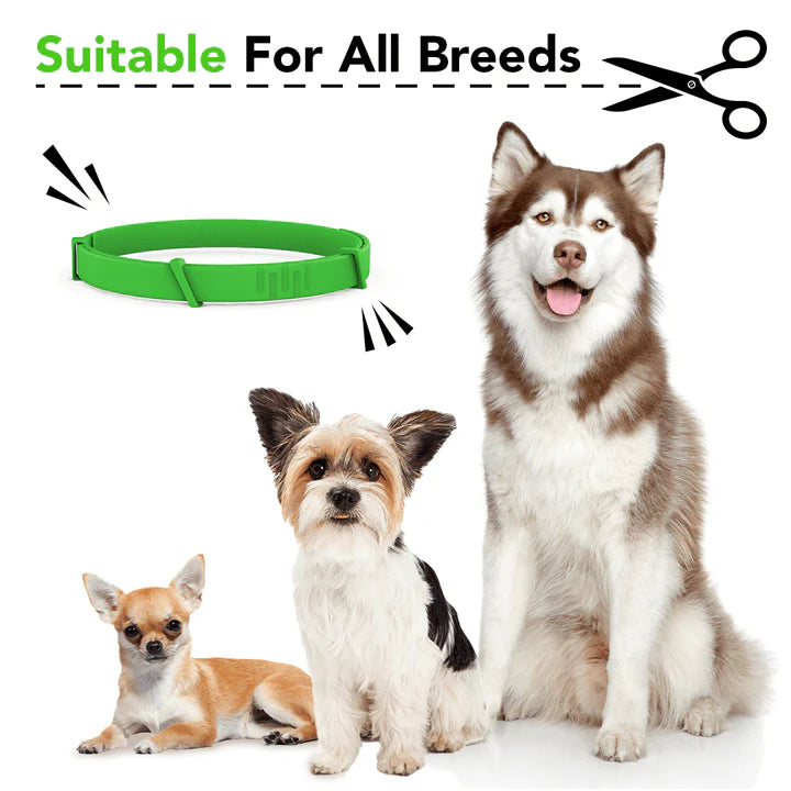 Fur LYF-Tick & Flea Free Collar