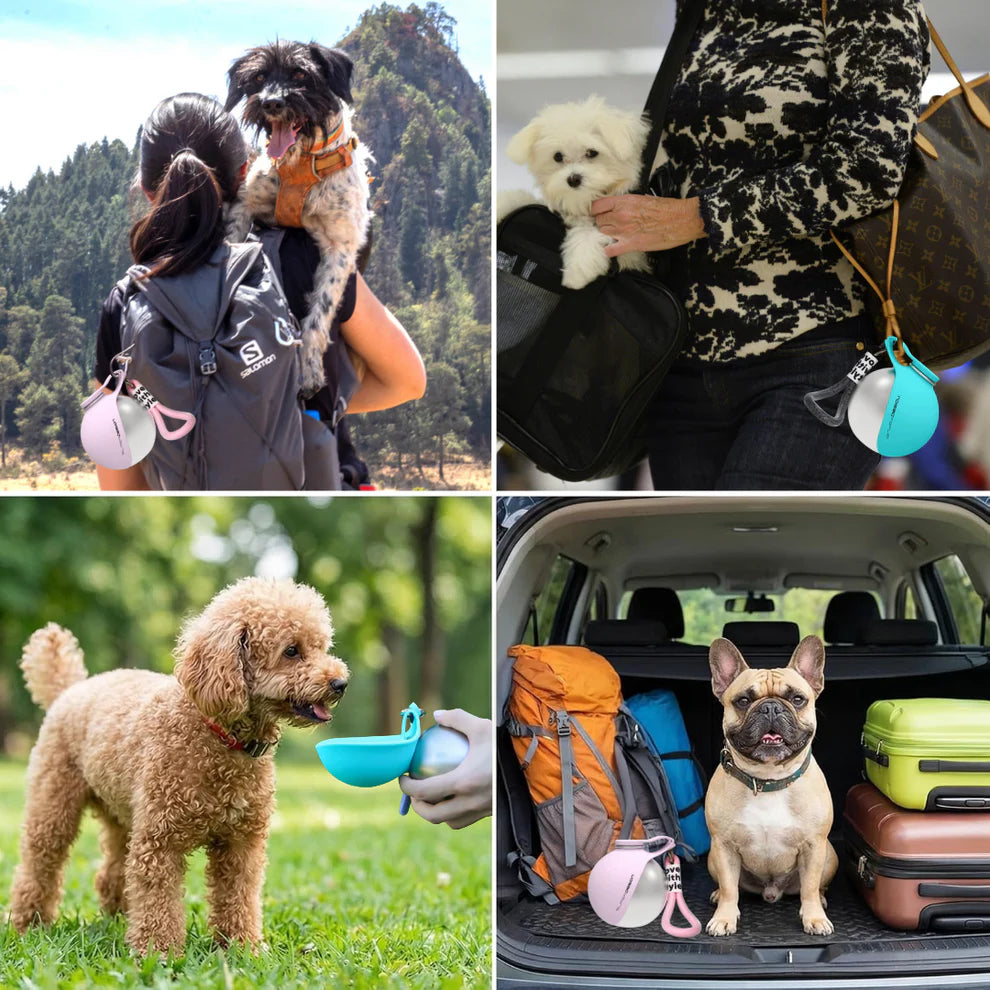PawSip Pet Water Bottle With Bowl