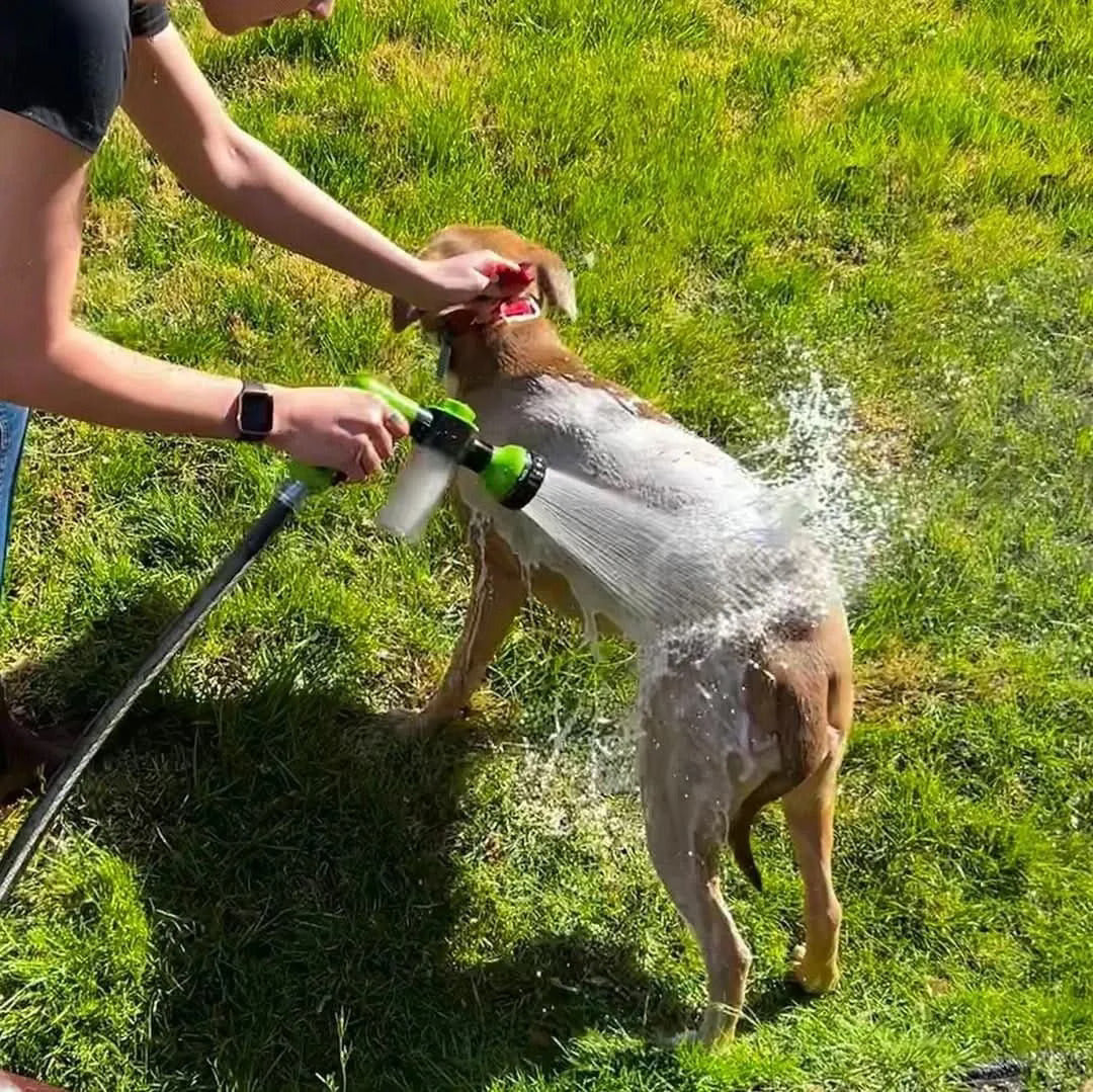 PawSplash Pro
