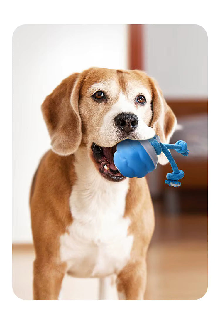 BounceBuddy Smart Play Ball