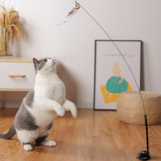 Interactive Bird Simulation Cat Toy
