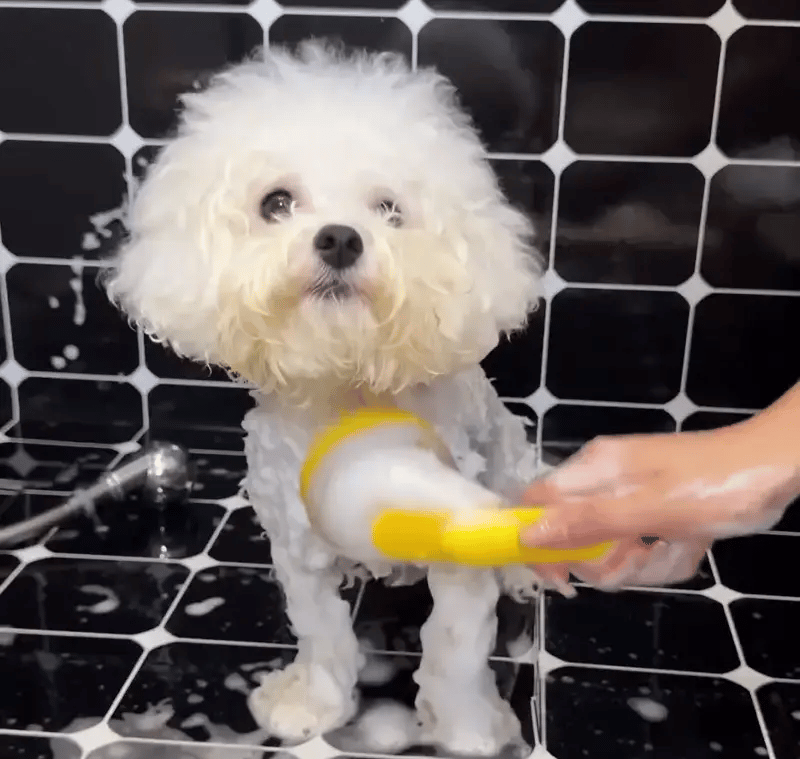 BathBuddy