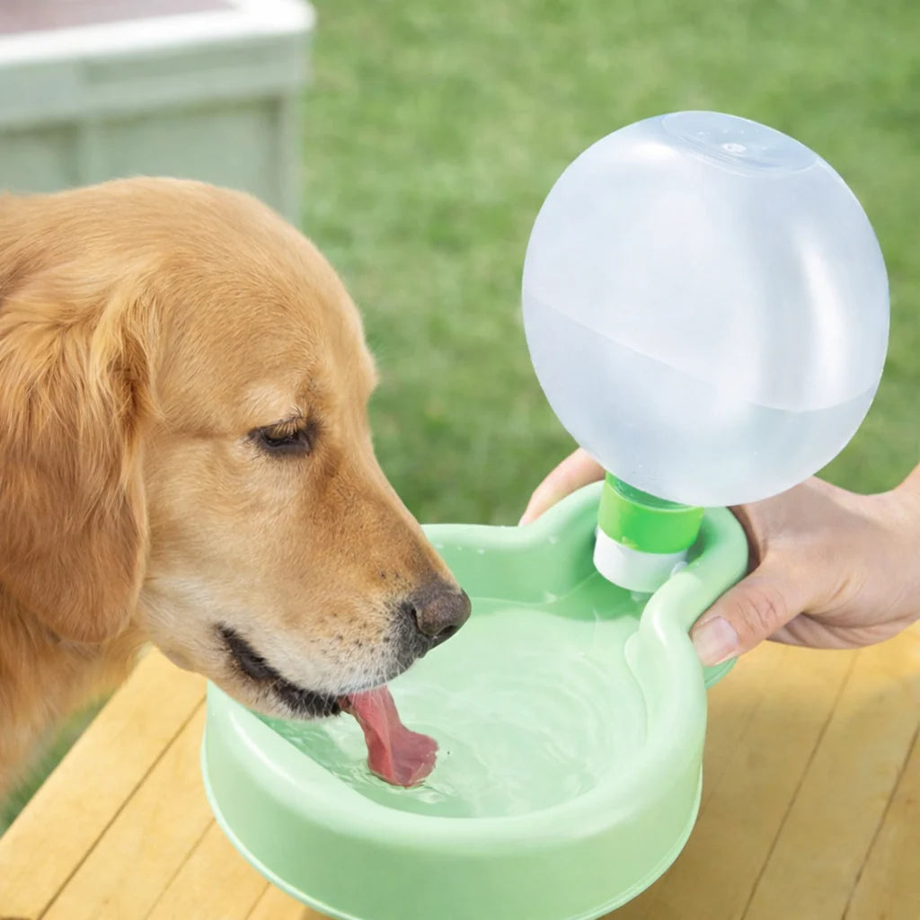 PawSip Foldable Bowl