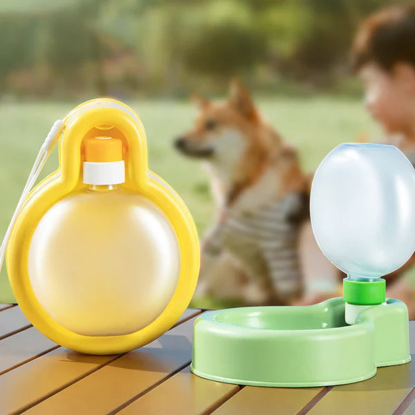 PawSip Foldable Bowl