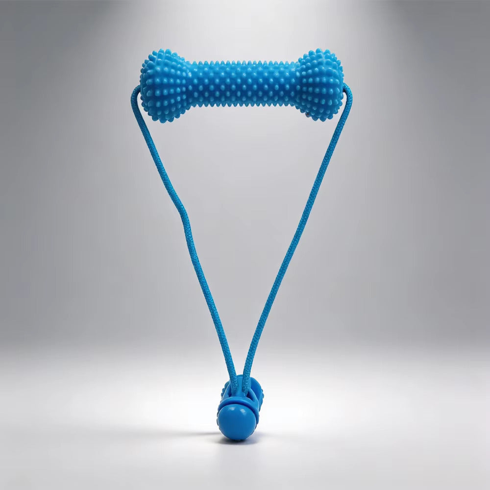 PawSmile Dog Dental Chew Toy