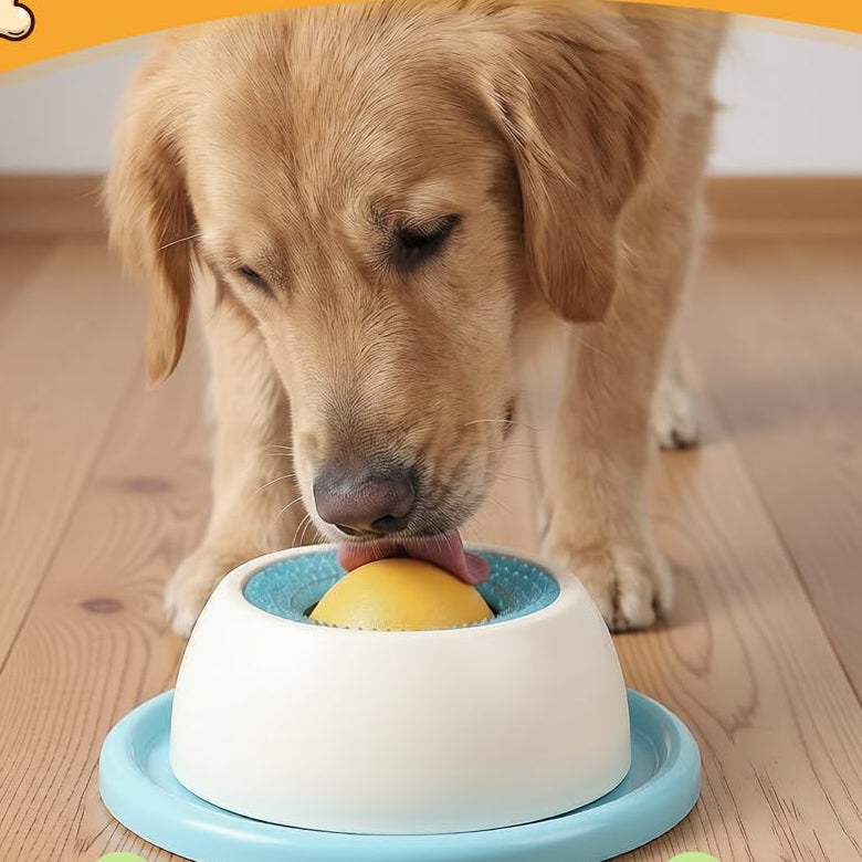 Stress Relief Slow Feeder Bowl