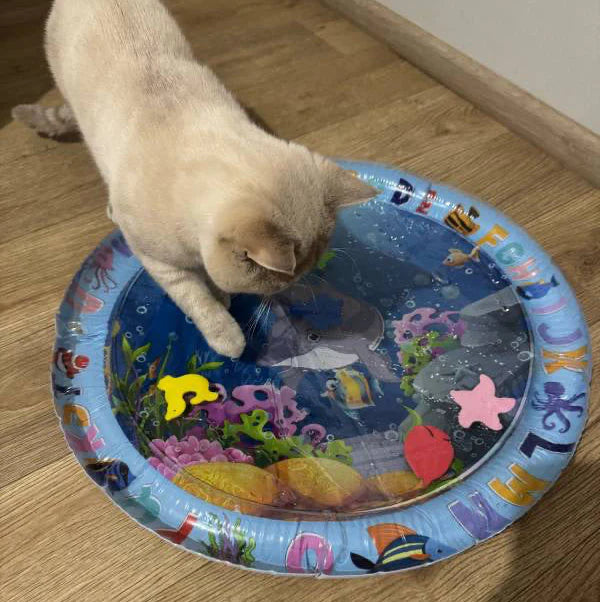 AquaPaws Chill Mat For Cat (scratch proof)