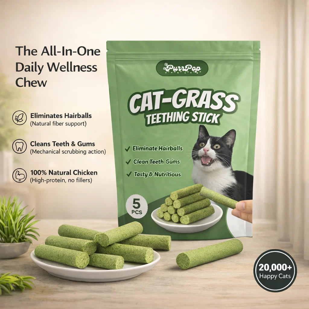 Cat Feline Dental Prophylaxis Support