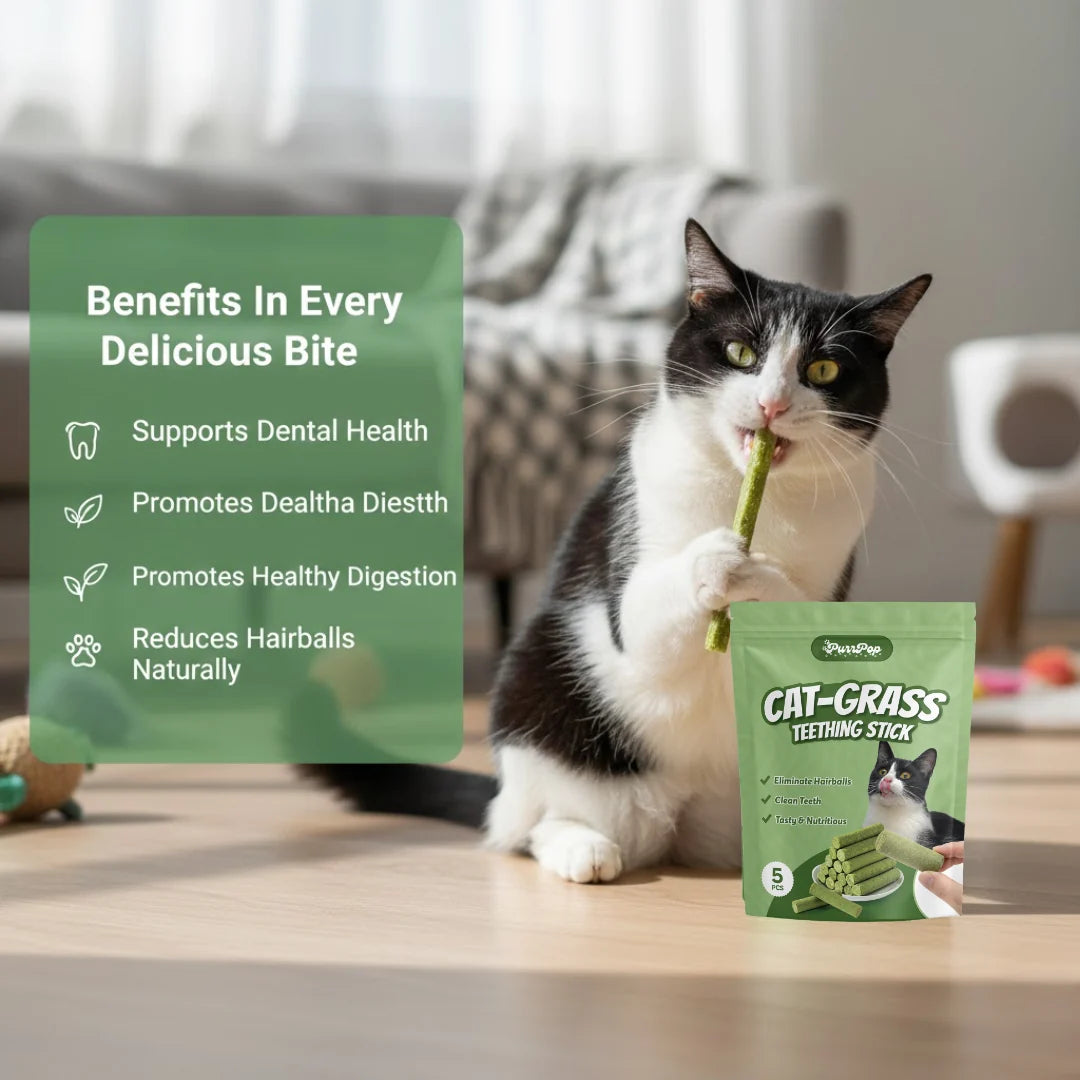 Cat Feline Dental Prophylaxis Support