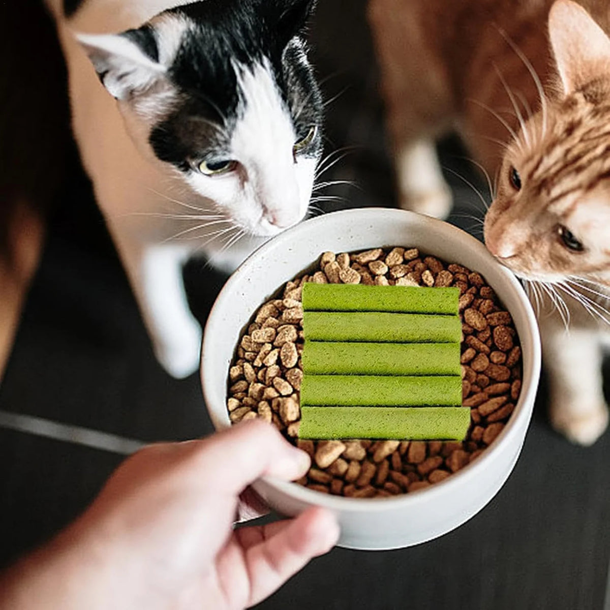 Cat Feline Dental Prophylaxis Support