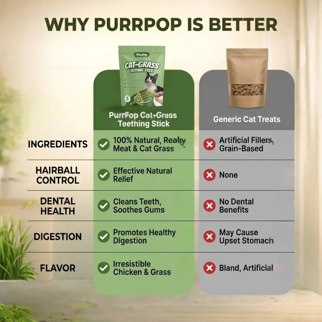 Cat Feline Dental Prophylaxis Support