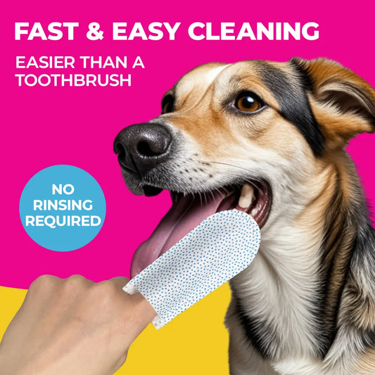 Finger Wipes For Dog & Cat